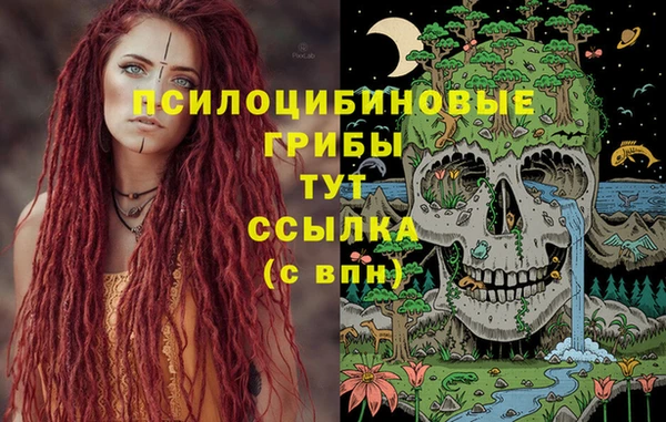 таблы Алексеевка