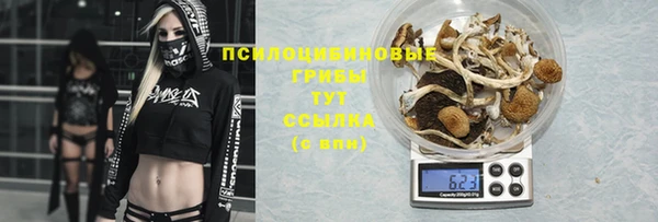 таблы Алексеевка
