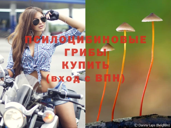 таблы Алексеевка